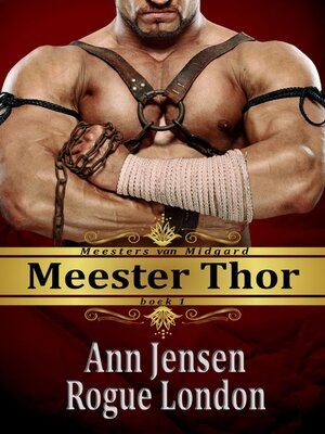 cover image of Meester Thor
